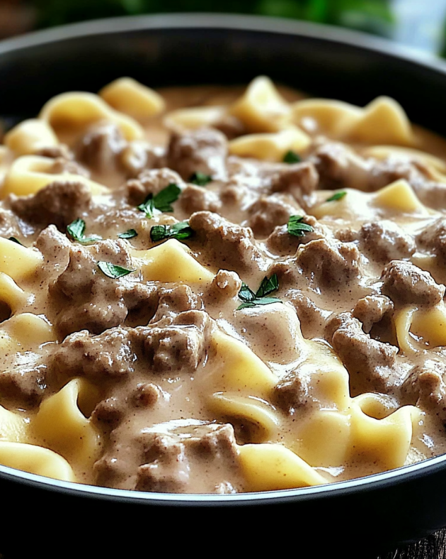 Creamy Beef Stroganoff Recipe is a family favorite.